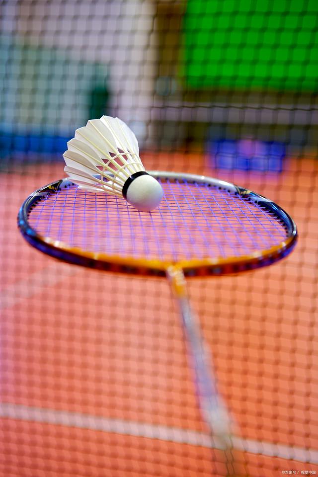 节的战术执 节的战术执