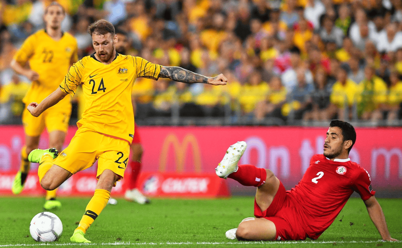 莎头组合 莎头组合